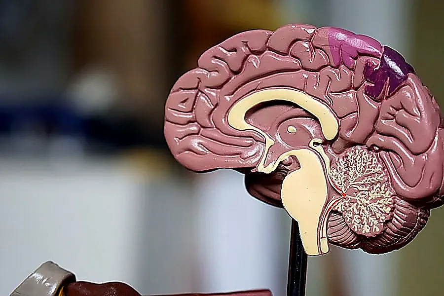 Avaliação Neuropsicológica